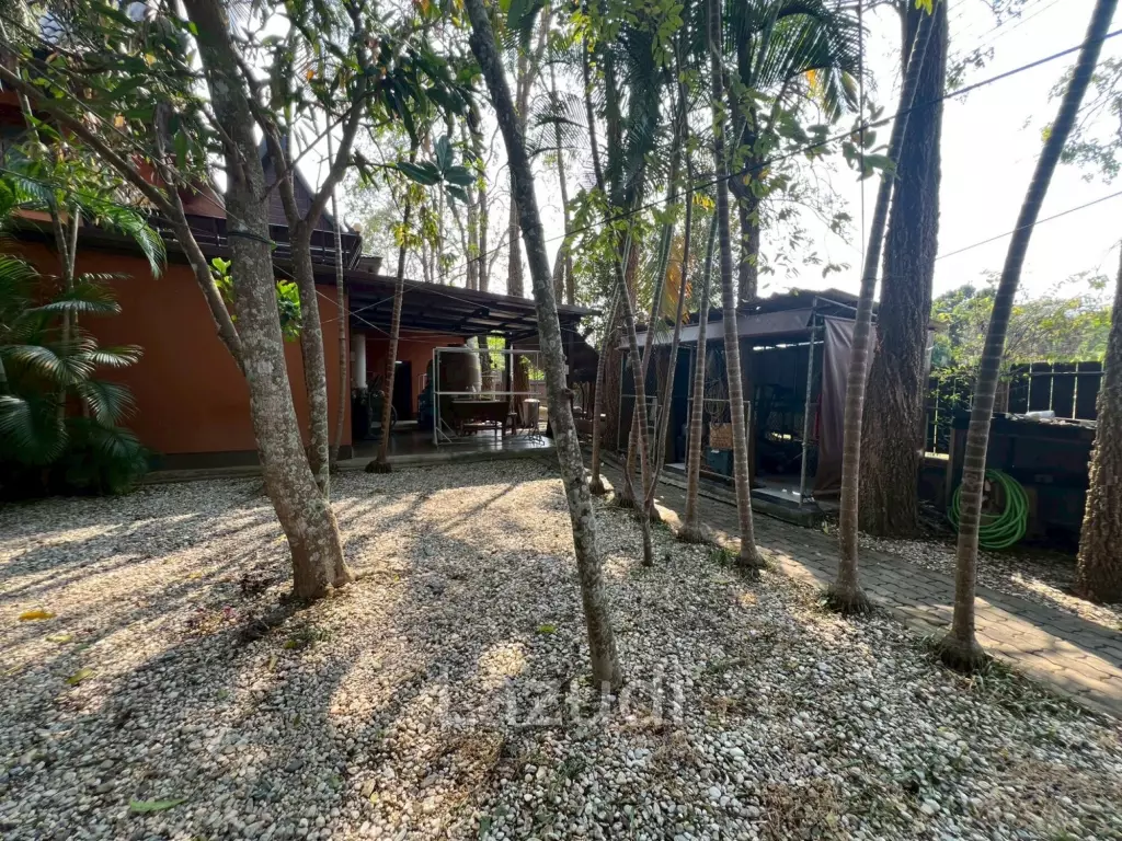 ขายบ้าน/รีสอร์ททรงไทยโมเดิร์นใกล้ตัวเมืองเชียงราย ที่ต.ริมกก