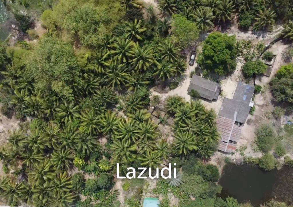 1 Rai Freehold Waterfront Land in Soi Hua Hin 88 Thap Tai