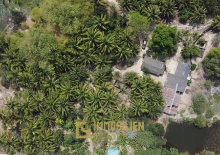 Участок площадью 1 раи на берегу моря в районе Сой Хуа Хин 88 Тхап Тай.