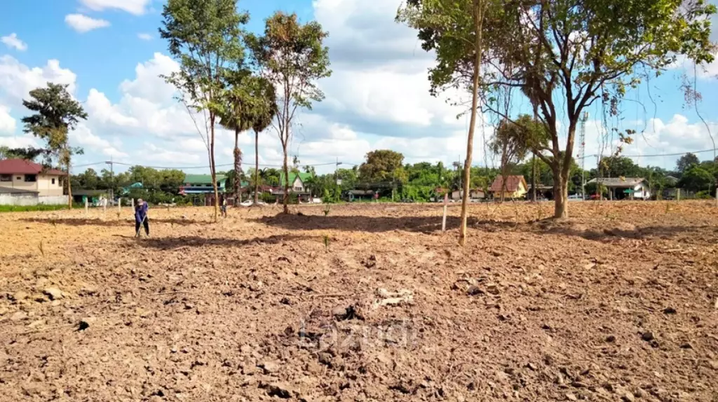 8-Rai Prime Land in EEC Orange Zone  Near Mabprachan Lake