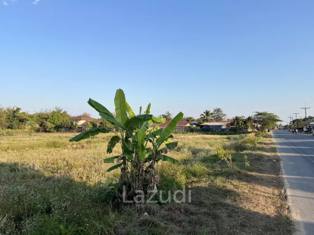 11 Rai Land with Mountain View for Investment at Ban Du