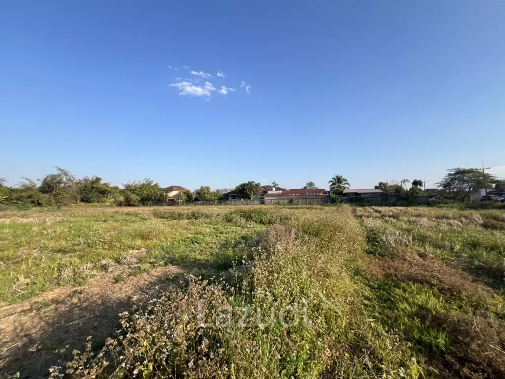 11 Rai Land with Mountain View for Investment at Ban Du