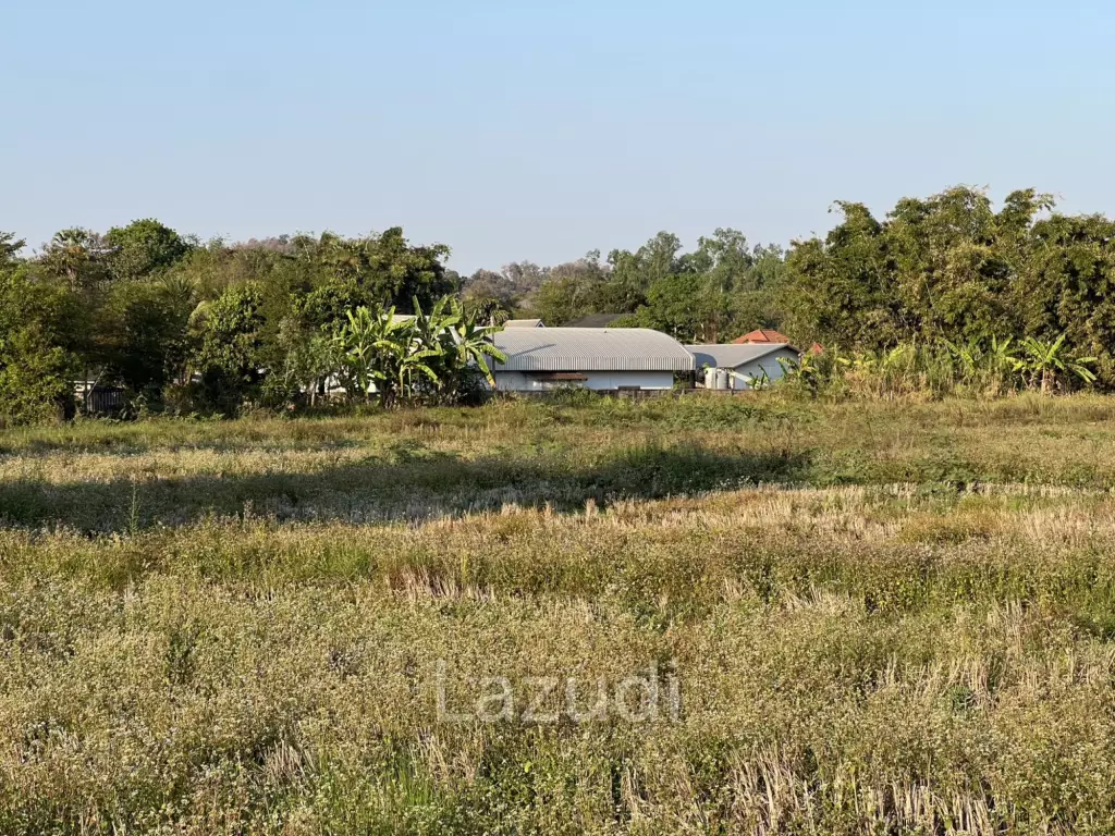 11 Rai Land with Mountain View for Investment at Ban Du