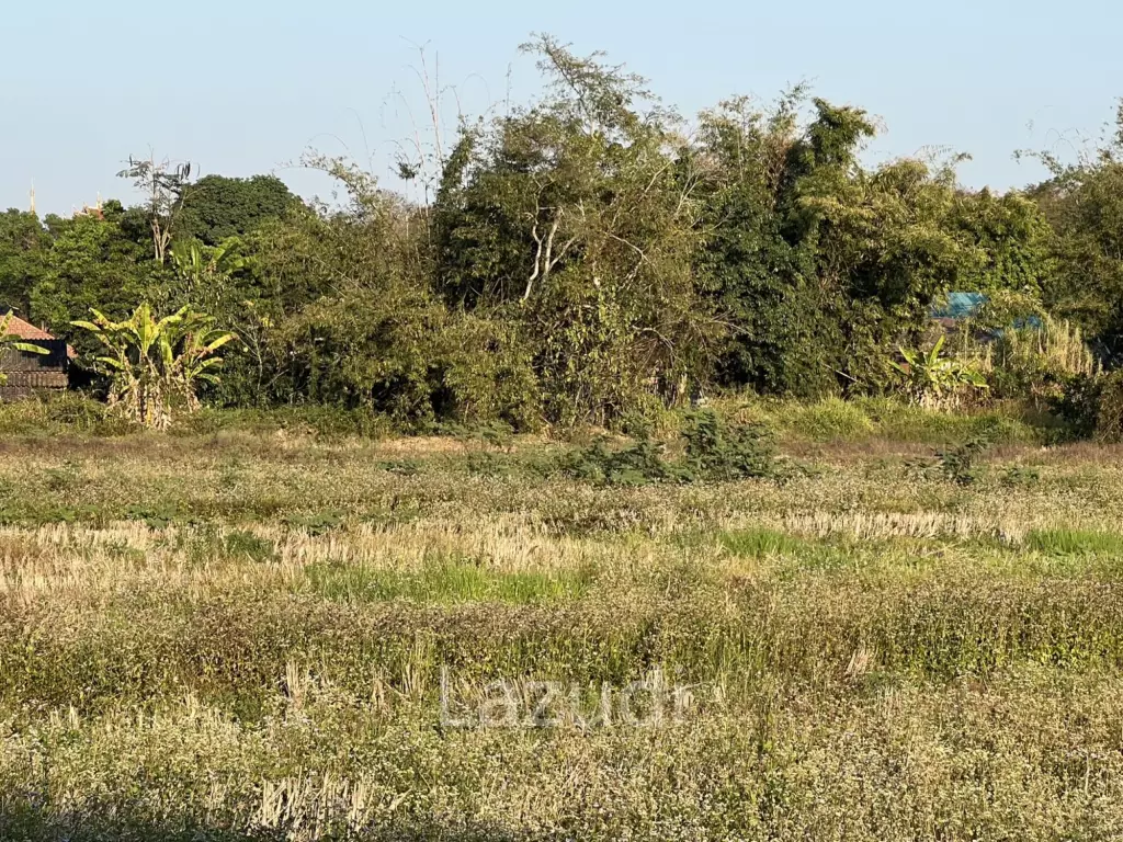11 Rai Land with Mountain View for Investment at Ban Du