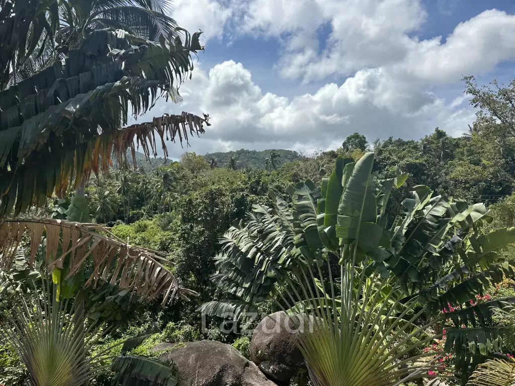 Prime Sea View Land in Thong Nai Pan