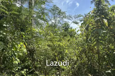 Prime Sea View Land in Thong Nai Pan