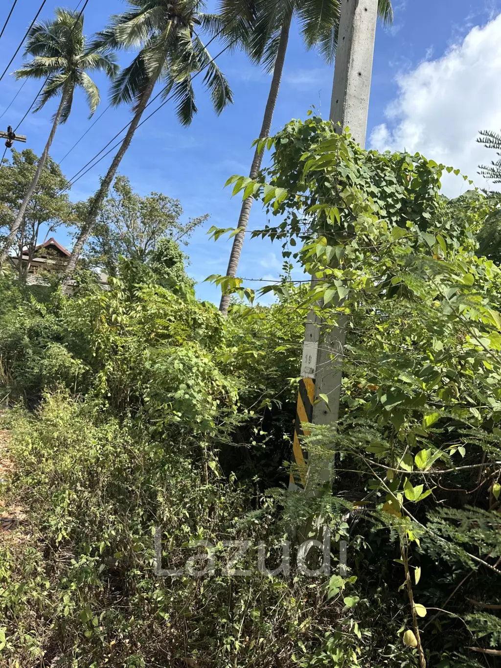 Prime Sea View Land in Thong Nai Pan