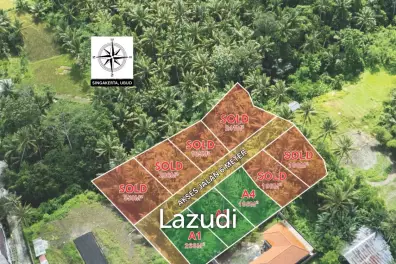 Perfect Riverside Freehold Land for sale in Singakerta Ubud