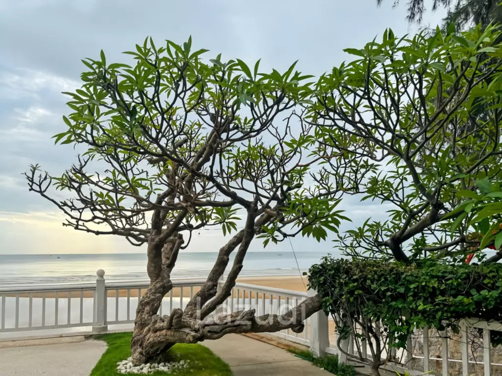 130 sqm beachfront condo at Baan Chom View Hua Hin, Nong Kae