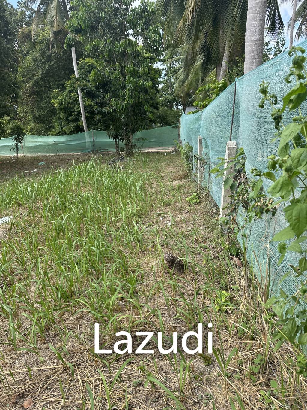 Flat 400 sqm Land – Prime Location Near Thong Sala