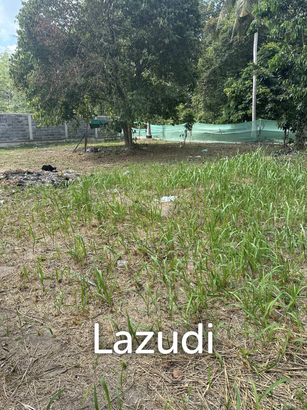 Flat 400 sqm Land – Prime Location Near Thong Sala