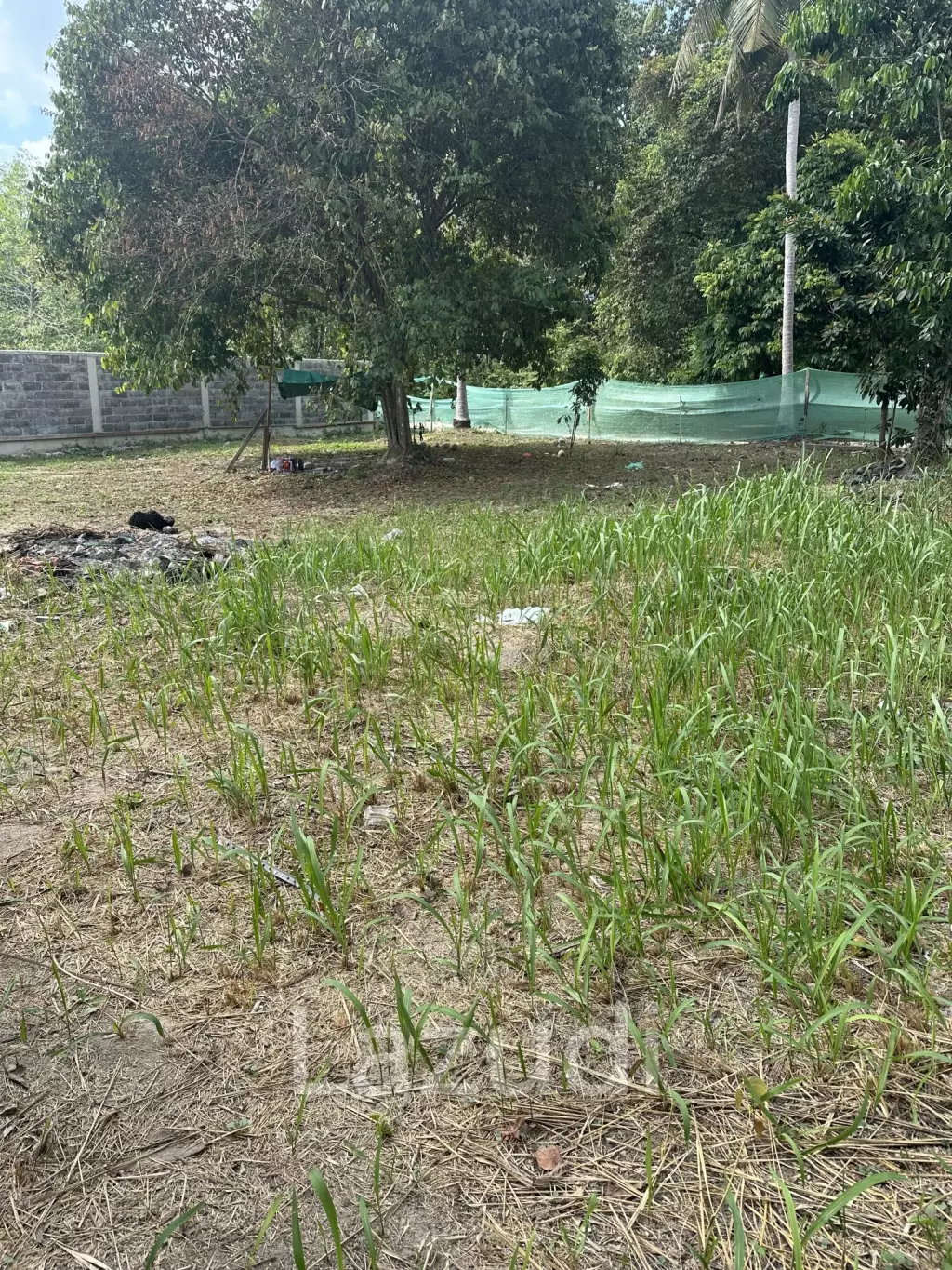 Flat 400 sqm Land – Prime Location Near Thong Sala