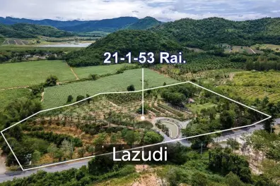ขายที่ดิน  21 ไร่ แถวหนองพลับ หัวหิน