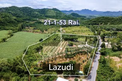 ขายที่ดิน  21 ไร่ แถวหนองพลับ หัวหิน