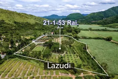 ขายที่ดิน  21 ไร่ แถวหนองพลับ หัวหิน