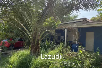 ขายที่ดิน  21 ไร่ แถวหนองพลับ หัวหิน