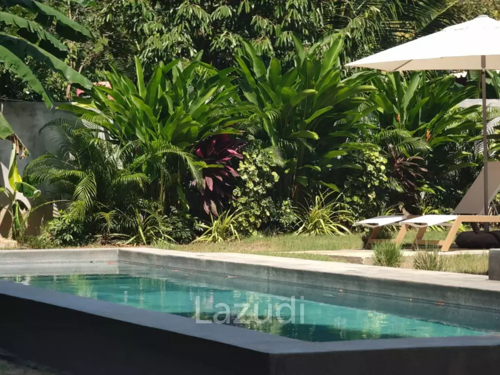 Designer villa with separate guest studio