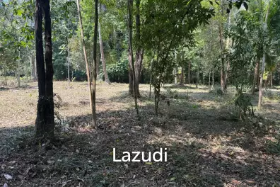 Flat 700 sqm Land with Beautiful Trees – Baan Nai Suan