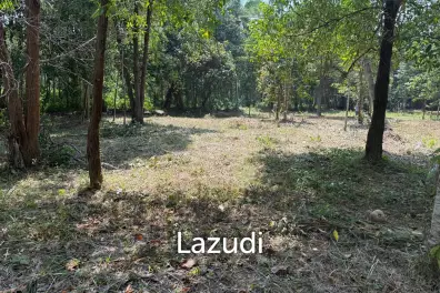 Flat 700 sqm Land with Beautiful Trees – Baan Nai Suan