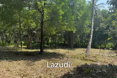 Flat 700 sqm Land with Beautiful Trees – Baan Nai Suan
