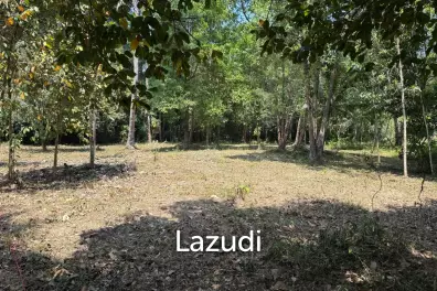 Flat 700 sqm Land with Beautiful Trees – Baan Nai Suan
