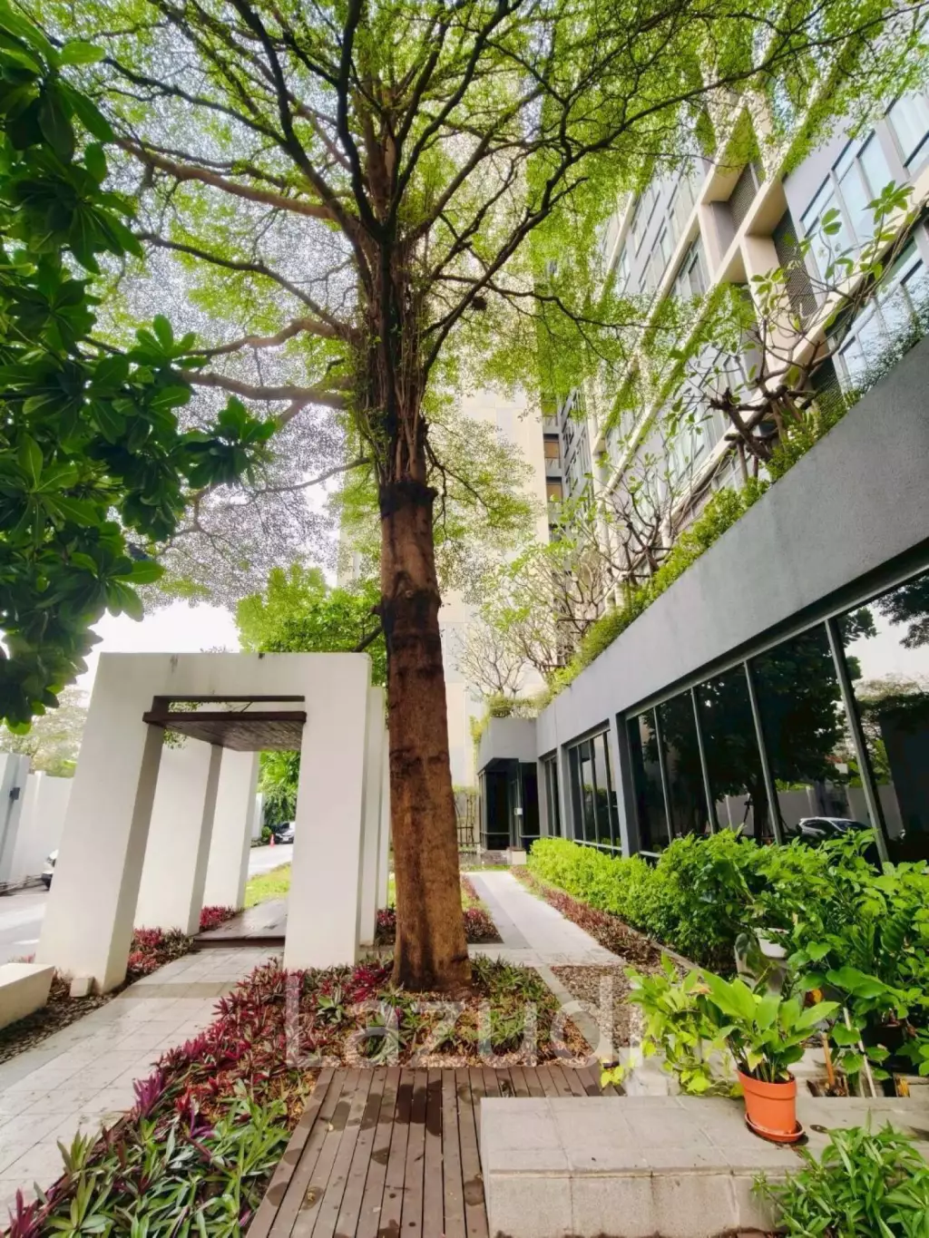 33 sqm 1 bedroom condo at Ideo Blucove Sukhumvit