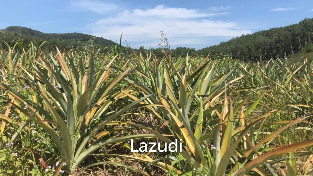 Prime Land for Sale in Samnak Thong, Rayong City