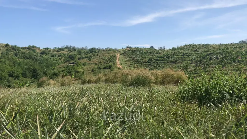 Prime Land for Sale in Samnak Thong, Rayong City