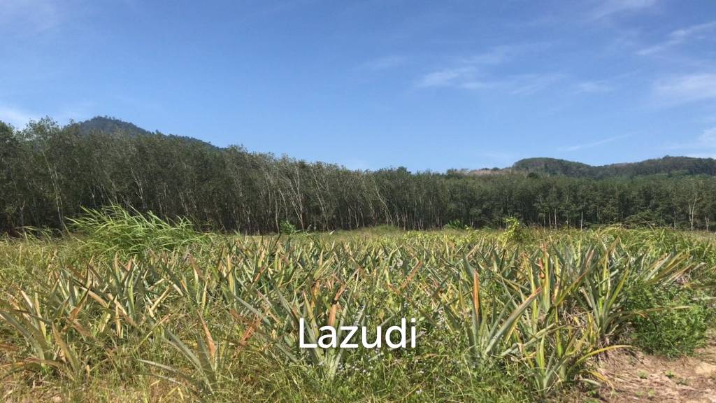 Prime Land for Sale in Samnak Thong, Rayong City