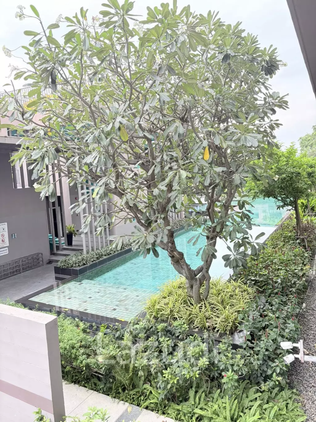 Condo for Rent – Baan Kun Koey Hua Hin 1BR