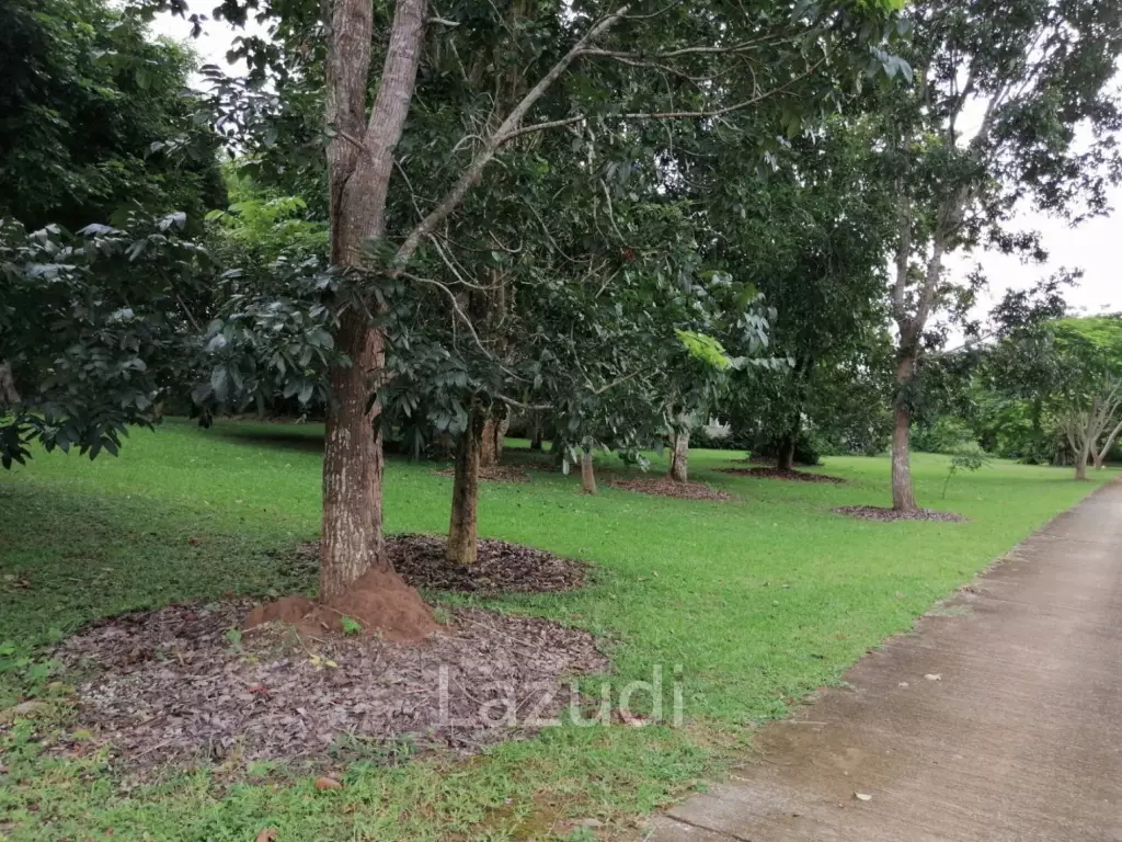 2,783.2 SQ.M. of Land Urgent Sale! near Central and City