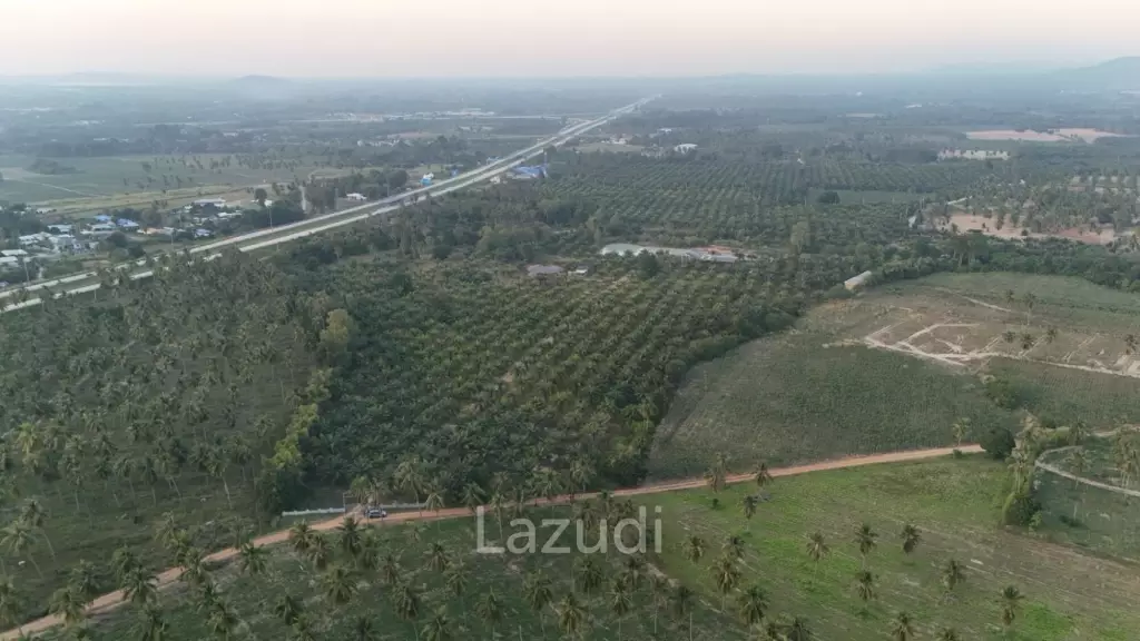 Prime Investment Land for Sale 60+ Rai Next to Motorway 7