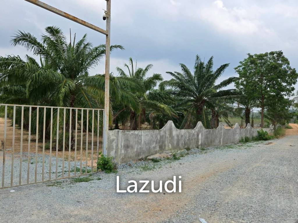 Prime Investment Land for Sale 60+ Rai Next to Motorway 7