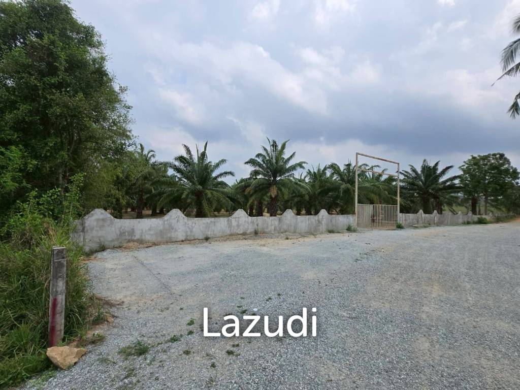 Prime Investment Land for Sale 60+ Rai Next to Motorway 7