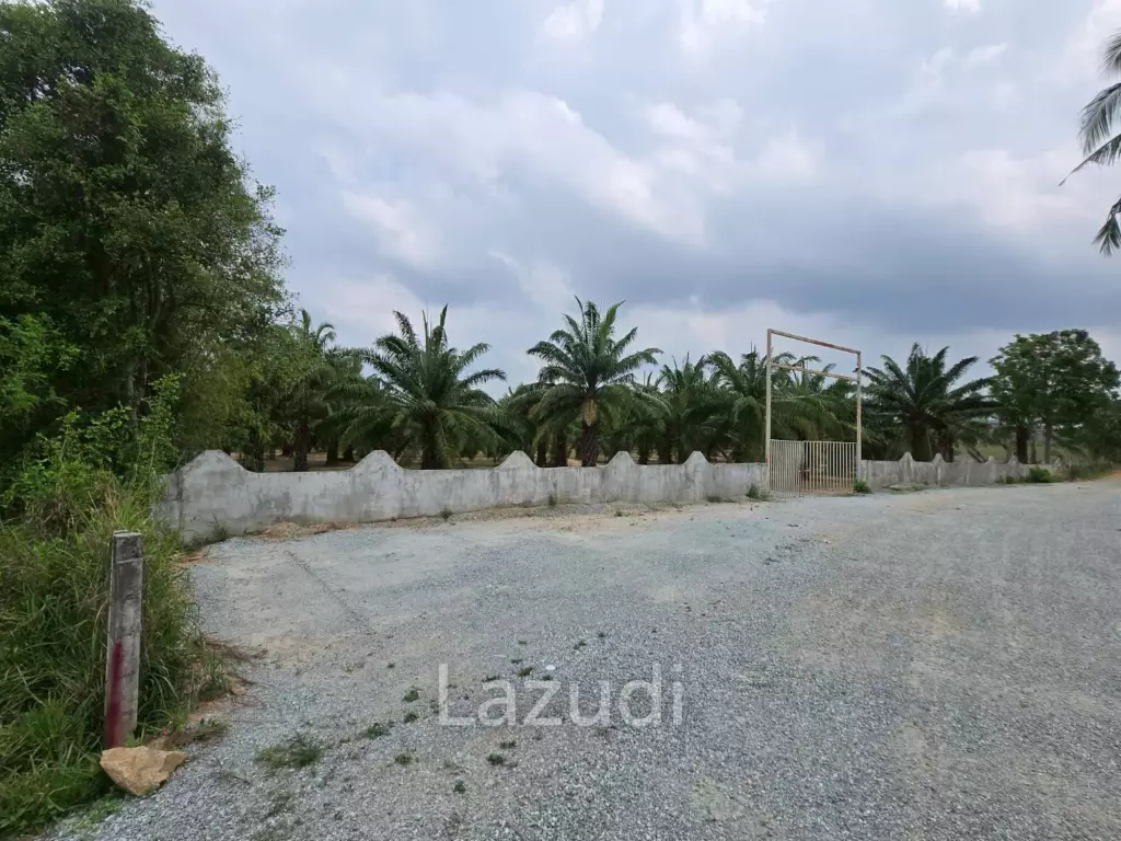 Prime Investment Land for Sale 60+ Rai Next to Motorway 7
