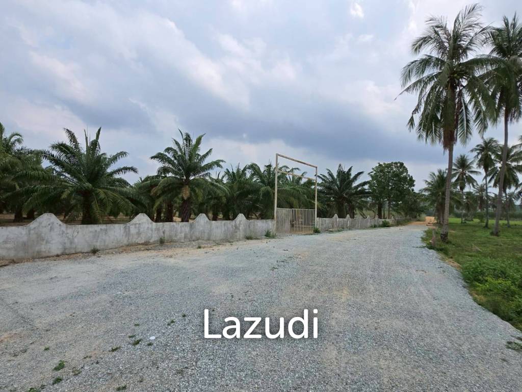 Prime Investment Land for Sale 60+ Rai Next to Motorway 7