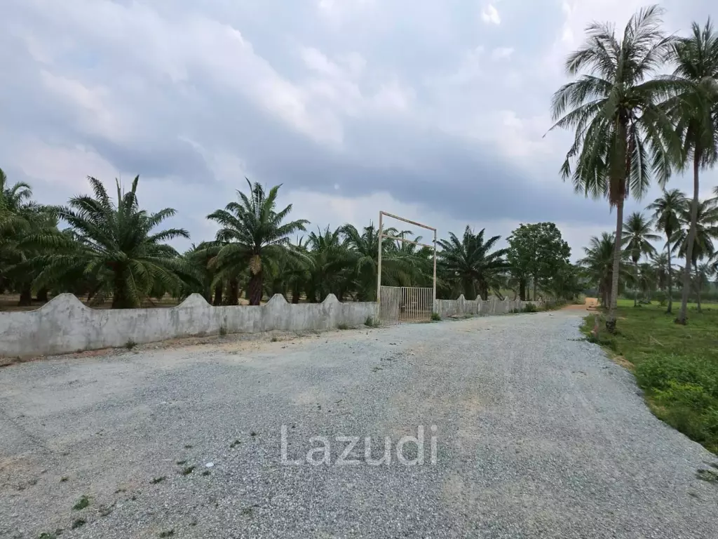 Prime Investment Land for Sale 60+ Rai Next to Motorway 7