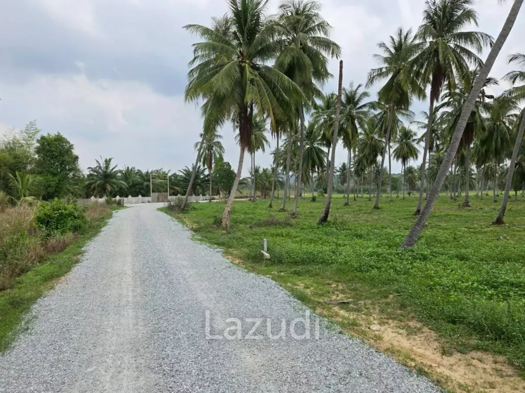 Prime Investment Land for Sale 60+ Rai Next to Motorway 7