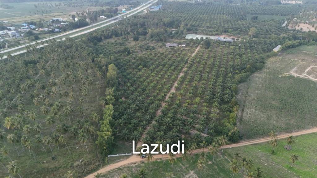 Prime Investment Land for Sale 60+ Rai Next to Motorway 7