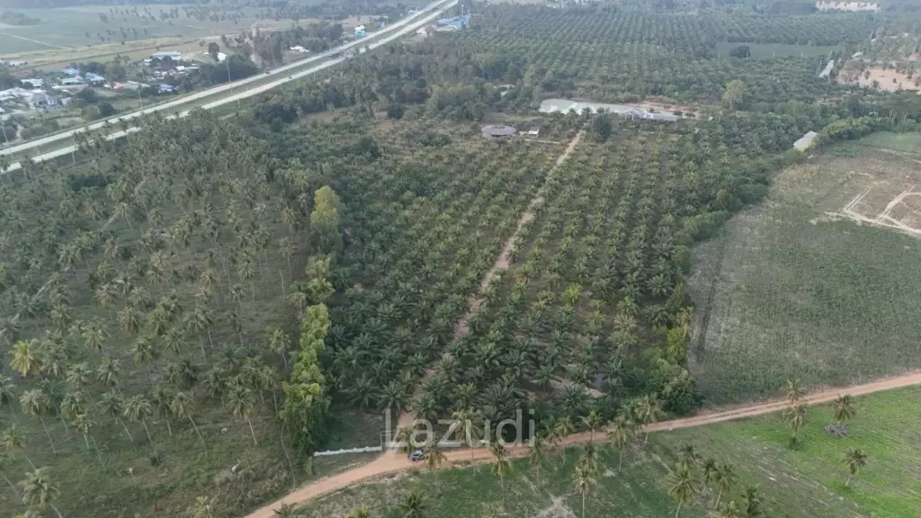Prime Investment Land for Sale 60+ Rai Next to Motorway 7