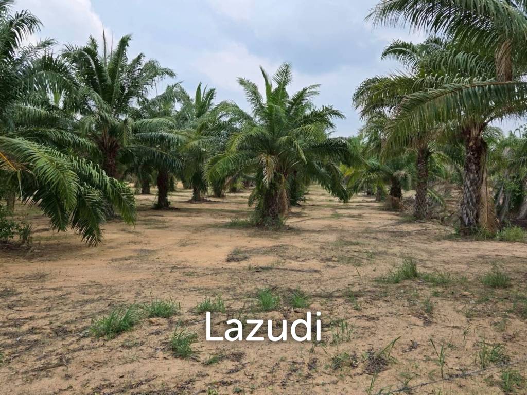 Prime Investment Land for Sale 60+ Rai Next to Motorway 7