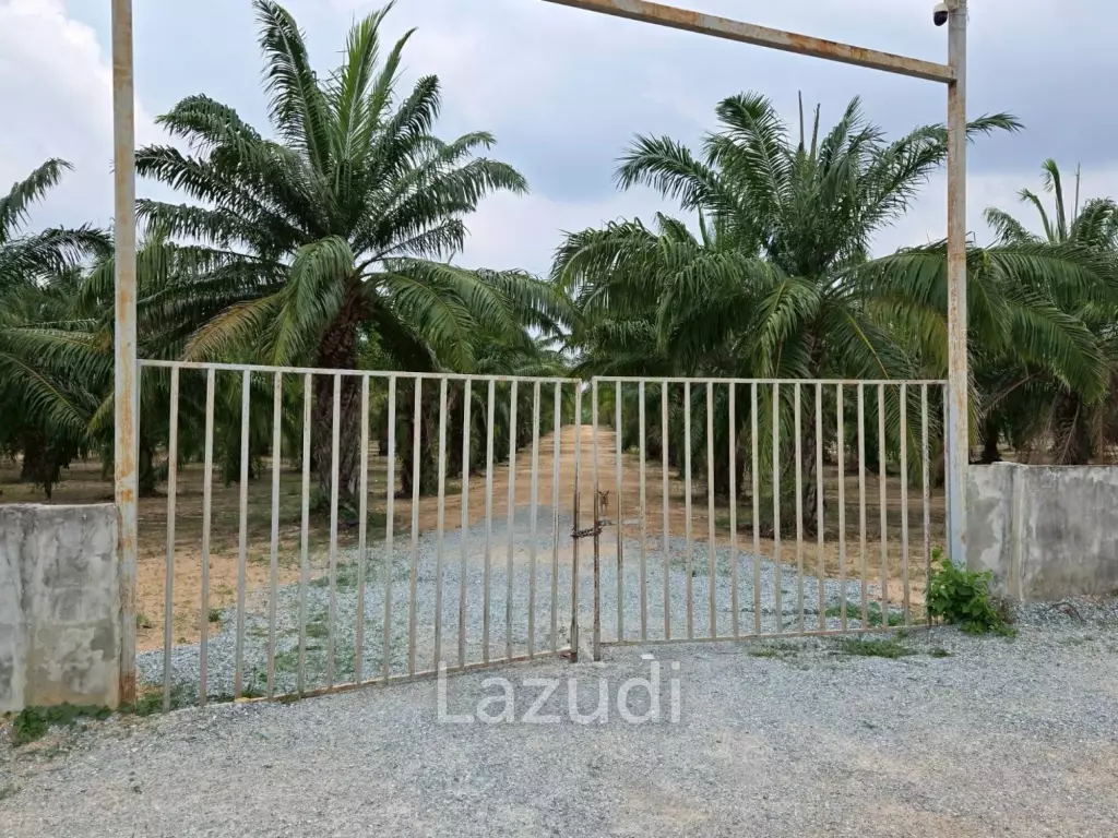 Prime Investment Land for Sale 60+ Rai Next to Motorway 7