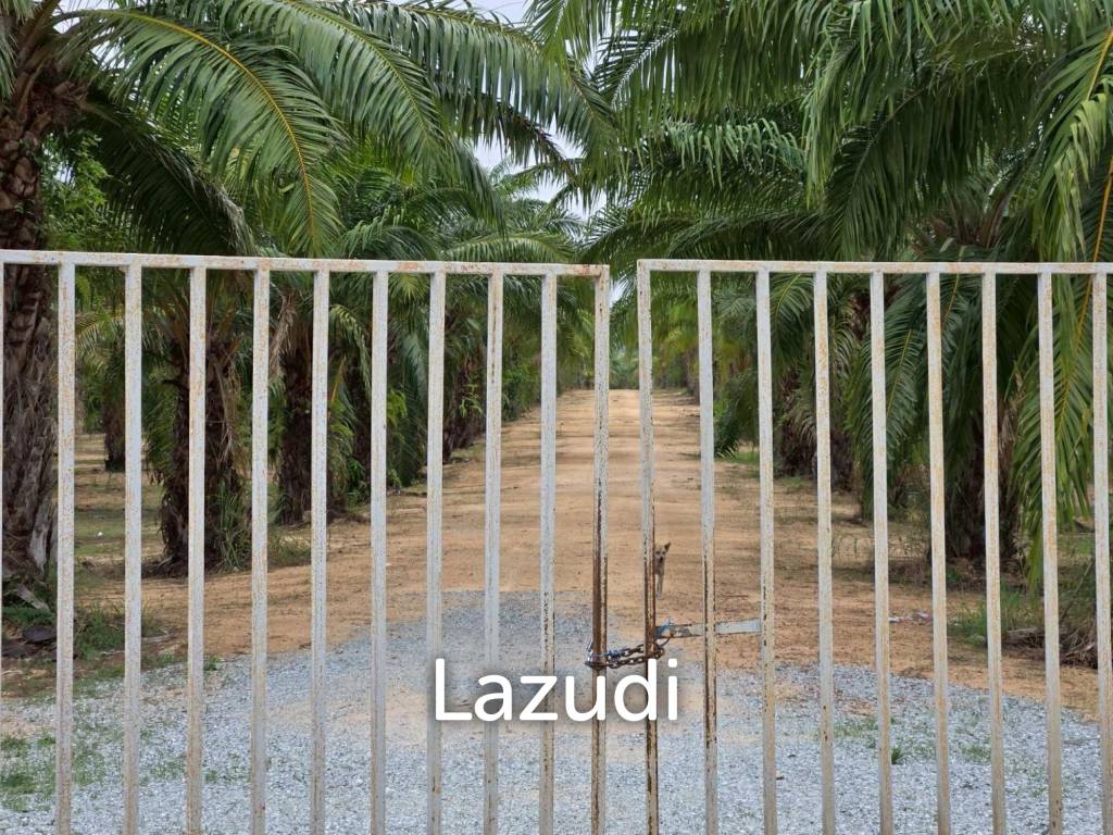 Prime Investment Land for Sale 60+ Rai Next to Motorway 7