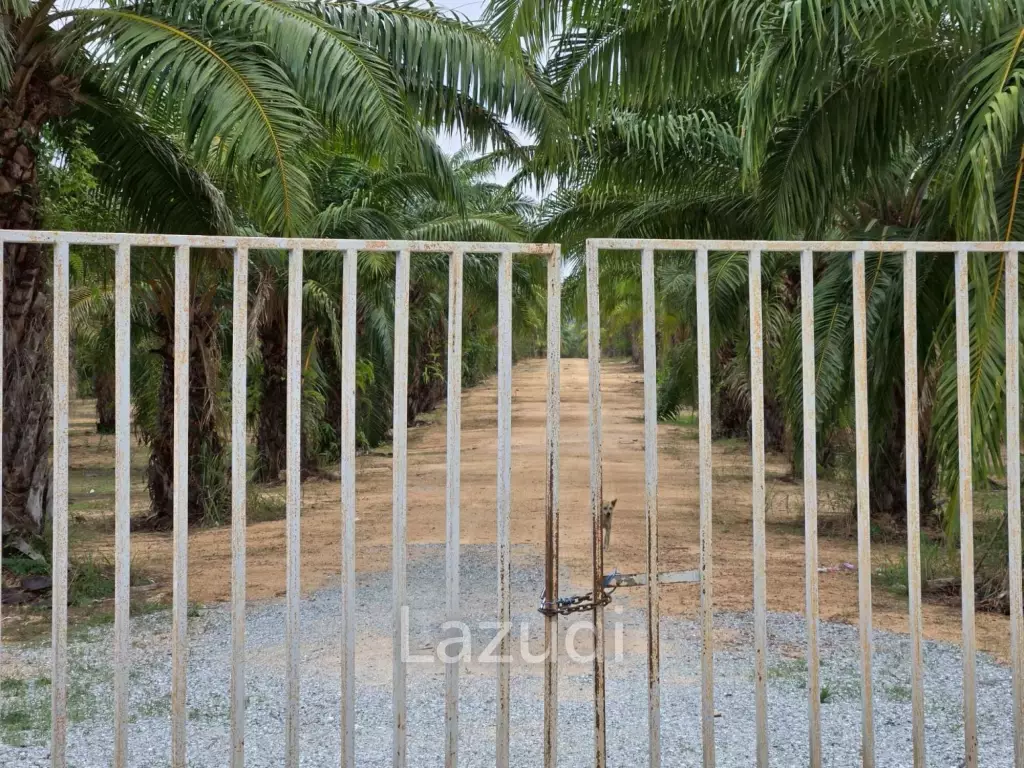 Prime Investment Land for Sale 60+ Rai Next to Motorway 7