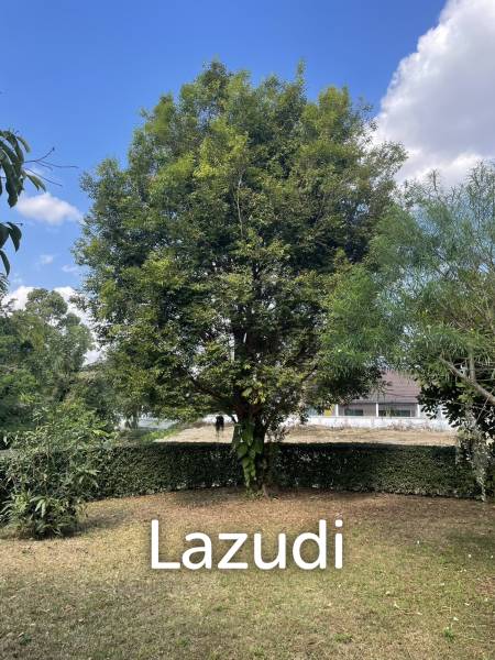 Modern 3 Bedrooms House for Sale in Melanie Village Tha Sai