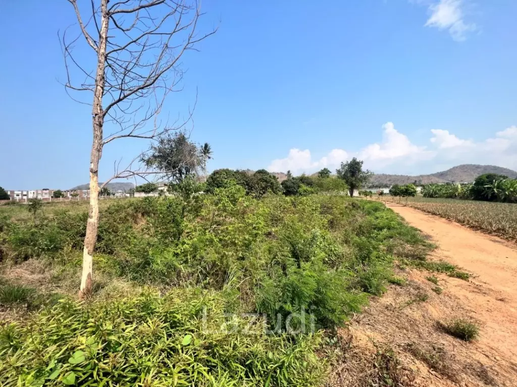 Land Kao Tao : 3 rai corner plot of land with great Westerly Views