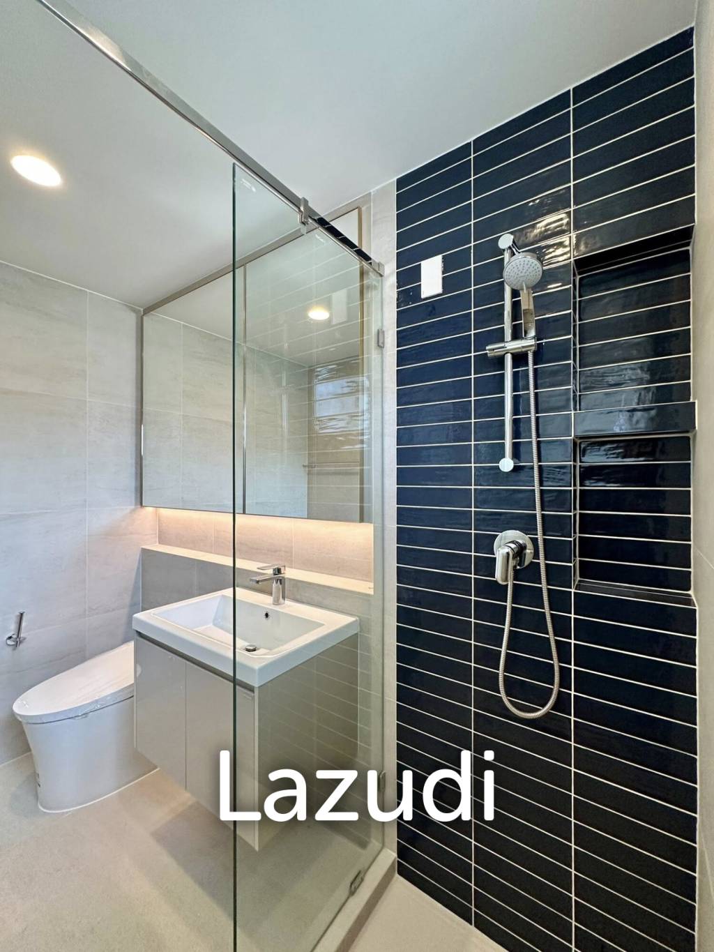 Brand New 4 Bedroom Luxury House Walking Distance to BISP