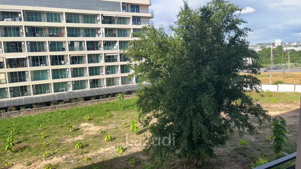 Cozy 1 Bedroom for Sale Arcadia Center Suites