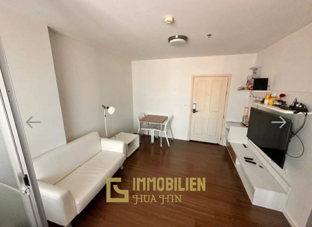 Meerblick / Studio / 31 qm Wohnfläche