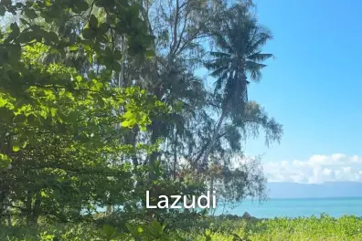ขายที่ดินติดชายหาดสุดสวย เกาะพะงัน (3.38 ไร่)